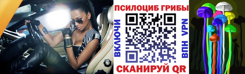 shop клад  Купино  Псилоцибиновые грибы Cubensis  как найти наркотики 